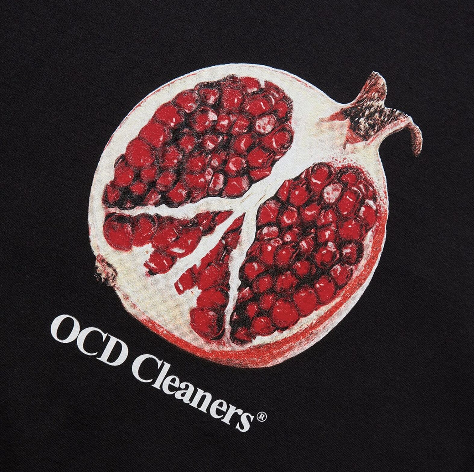 OCD Cleaners — 11